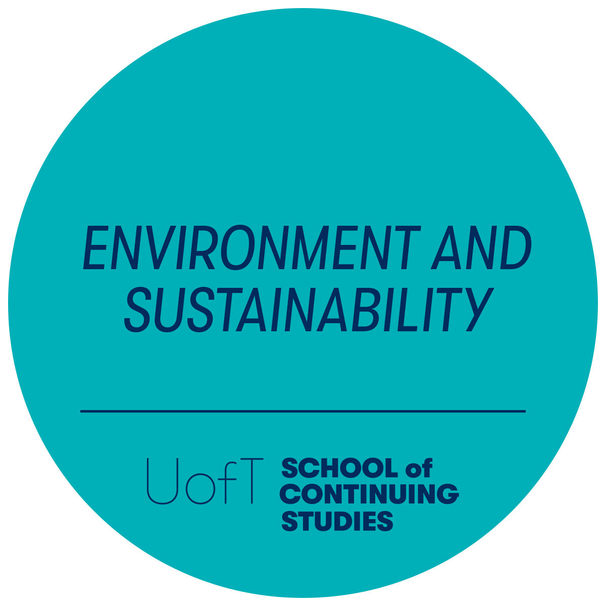 Environment and Sustainability badge