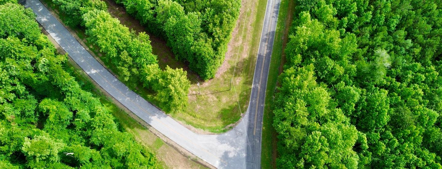 aerial view of a fork in a road through a green forest