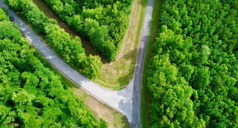 aerial view of a fork in a road through a green forest
