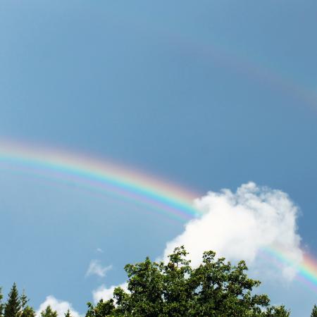 Raibow